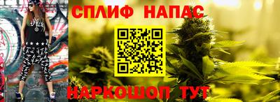 не бодяженный Камышлов
