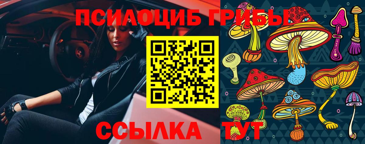 Псилоцибиновые грибы MAGIC MUSHROOMS  Вход с VPN  Лениногорск  Псилоцибиновые грибы прущие грибы 